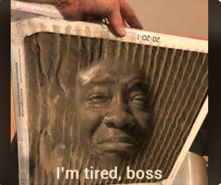 image19369995.png